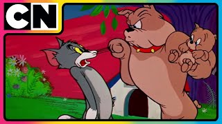 Tom amp Jerry 😺🐭 Jerry’s Sneaky Tricks Revealed 😜 Cat and Mouse Funny Video  cnindia [upl. by Nairam]