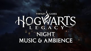 Hogwarts Legacy Night Ambience  Music [upl. by Beaufort]