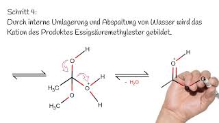 Die säurekatalysierte Veresterung  Reaktionsmechanismus  Organische Chemie [upl. by Schott]