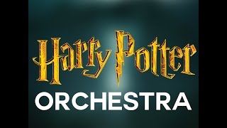 Harry Potter Orchestra Ringtone [upl. by Ecnerol]