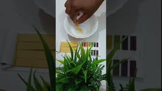 Kesh king onion shampoo pH testing।phtesting phlevel keshkingshampoo [upl. by Ennovahs]