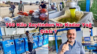 760 Kilo Zeytinden Bakın Ne Kadar Zeytinyağı Çıktı  Osmaniye Sumbas [upl. by Clerk]