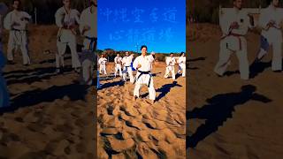 沖繩空手道心龍道場 • Okinawa KarateTradizionale Napoli ShinryuDojo • Paiku Kata RyueiRyu [upl. by Adnik]