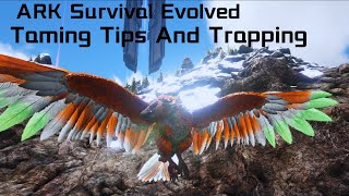 ARGENTAVIS TAMING Tips And TrappingARK Survival Evolved [upl. by Nahtnoj4]