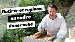 Comment retirer et replacer un cadre dune ruche [upl. by Uyr631]