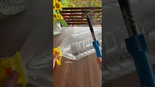 Beautiful garden flowers plants in bottle flower diy garden home gardenplants [upl. by Caesar]