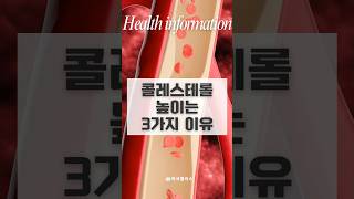 콜레스테롤 높이는 3가지 이유 콜레스테롤 건강 혈관건강 [upl. by Edivad]