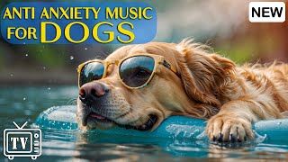 Dog TV for Dogs to Watch Soothe Dogs Anxiety and Deep Sleep with Calming Music For Dogs [upl. by Avictor540]