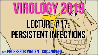 Virology Lectures 2019 17 Persistent Infections [upl. by Laurin964]