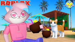 Roblox Cute Kitten Game with Alpha Lexa [upl. by Savory]