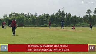 Live Cricket Match  Plant Panthers vs ESCROW ampHW SPARTANS  10Nov24 1133 AM 8 overs  FPL 2024 M [upl. by Tisdale]