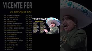 VICENTE FERNANDEZ MIX ROMANTICAS VIEJITAS PARA ADOLORIDOS LAS MEJORES RANCHERAS MEXICANAS [upl. by Nemlaz477]