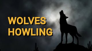 WOLVES HOWLING SOUND EFFECT in High Quality [upl. by Sesiom]