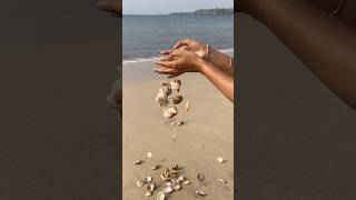 Turning beach treasures into beautiful wall decor—watch the magic of seashells unfold 🌊🌿 Sea [upl. by Brande]