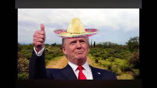 Illegals in my yard  Donald trump music video [upl. by Gurl]