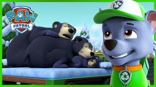 Adventure Bay Bears  PAW Patrol Rescue Episode  Cartoons for kids [upl. by Llevart106]