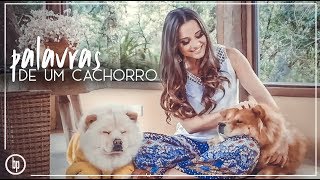 Bruna Pinheiro  Palavras de Um Cachorro [upl. by Ambrosia]