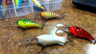 Lure Review Norman Deep Little N [upl. by Eireva400]