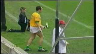 Clare v Offaly 1995 All Ireland SHC Final Extended Highlights [upl. by Enrico]