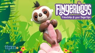 Fingerlings Baby Sloth from WowWee [upl. by Leahsim]