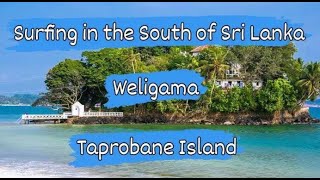 Being in the South of Sri Lanka for surfing during low season means Taprobane Island 🏄🏾‍♂️ [upl. by Mott]