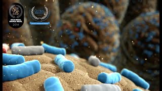 CLOSTAT  Probiotics  Kemin  Cortical Studios  MoA Animation [upl. by Nitsrik]