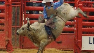 Xtreme Bull Riding at Four States Fair amp Rodeo [upl. by Roxie]