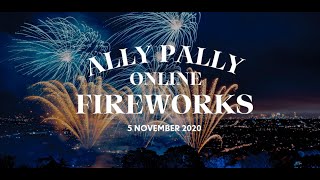 Ally Pally Fireworks  at home [upl. by Armat769]