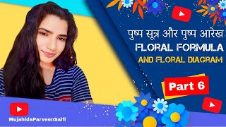 पुष्प सूत्र और पुष्प आरेख  Floral formula and floral Diagram  Part 6 [upl. by Yetnom]