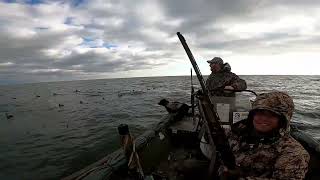 My First Old Squaw Lake Huron Sea Ducks [upl. by Claybourne903]