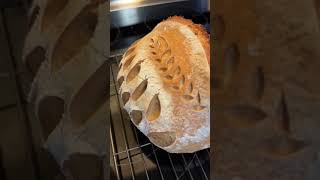 Steambaked Spelt Sourdough A Delicious Twist For Your Taste Buds [upl. by Aehc]