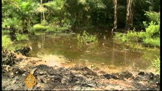 UN slams Shell over Nigeria oil pollution [upl. by Leahcam459]