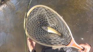 TROUT FISHING ON THE BIG FLATBROOK IN NEW JERSEY [upl. by Bucky]