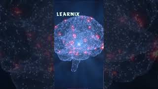 Do We Really Use Only 10 of Our Brain The Truth Revealed youtubeshorts neuroscience [upl. by Arriaes]