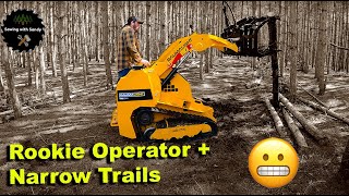 Mini Skid Steer Goes DEEP into the Woods Stacking Logs [upl. by Anerbes]