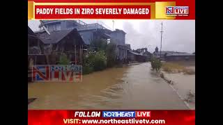 Arunachal Intense 24Hour Rainfall Causes Flood in Ziro Damges Paddy Fields [upl. by Phillane]