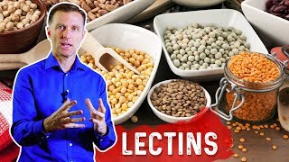 Lectins and Autoimmune Conditions [upl. by Anneh]