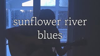 john fahey  sunflower river blues cover [upl. by Senilec529]