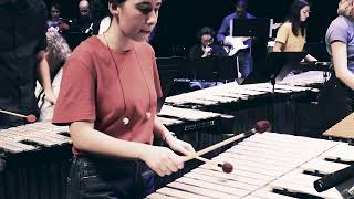 Snarky Puppy  Shofukan Ensemble Percutonic [upl. by Prudi]