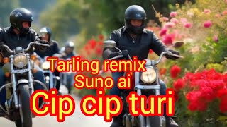 cip cip turi lagu tarling dolanan cover suno ai [upl. by Aldus]