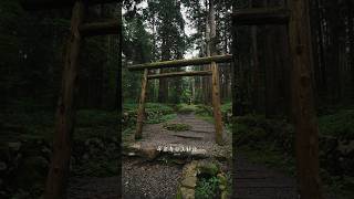 Temple in Deep forest🌳 [upl. by Sifan403]