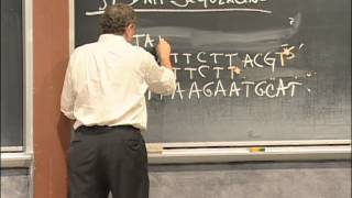 Agarose Gel Electrophoresis DNA Sequencing PCR Excerpt 1  MIT 701SC Fundamentals of Biology [upl. by Trebor675]