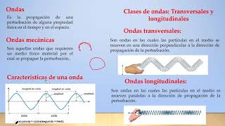 41 Ondas Ondas transversales y ondas longitudinales [upl. by Annaerda]