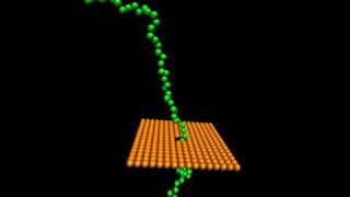 Translocation of polymer through a narrow hole [upl. by Krischer]