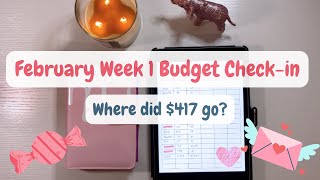 🩷 February 2024 Week 1 Budget Checkin  417 Spent so Far The Budgeting Biologist 🩷 [upl. by Atiraj]