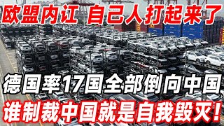 歐盟內訌！自己人打起來了，德國率17國全部倒向中國，誰敢製裁中國就是自我毀滅！ [upl. by Aihsekyw]