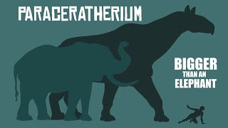 PARACERATHEIRUM  The Giant Hornless Rhino that dwarfed Elephants [upl. by Oinimreh]