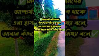 মিথ্যাবাদী বেঈমান দের আশ্চর্যজনক কিছু গুন থাকে  বাস্তবতা  নীতি কথা  motivation shorts [upl. by Secundas]