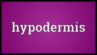 Hypodermis Meaning [upl. by Jeminah221]