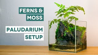 How to make a really easy mini Paludarium with an integrated waterfall  Stepbystep setup process [upl. by Ardnusal276]